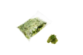 PR * MOSS 100GRS LIGHT GREEN