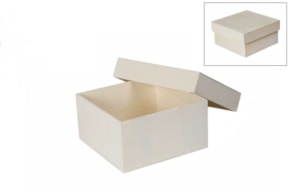 CAJA QUAD. 16X16X8CM