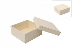 BOX  19X19X8CM