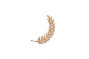 ESPIGA LAUREL
