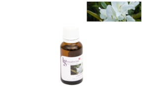 ESSENCIA 20ML LIRIO DO VALE