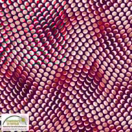 PR * TECIDO 100x112cm 4515-284 QUILTERS COORDINATES