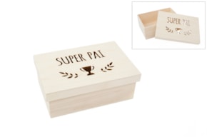 CAIXA SUPER PAI 22X15X8CM