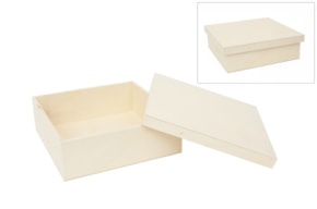 CAIXA 31.5X31.5X10CM