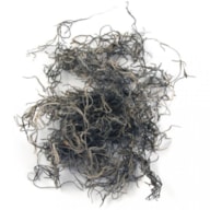 Jungle moss, natural, tab-bag 20 g RAYHER