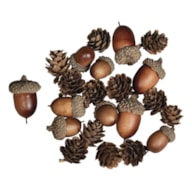 Acorn cone mix, assorted 2-4cm, tab-bag 27pcs RAYHER