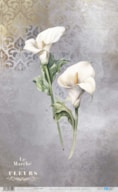RICE PAPER 54X33CM LA VIE EN FLEURS CALLA LILY I  PFY-13022