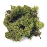 Icelandic moss, light green, bag 1 kg RAYHER