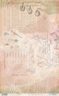 RICE PAPER 54X33CM BOTANIC PFY-14589