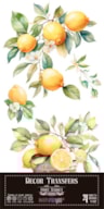 DECOR TRANSFERS 15X30CM LEMON PFY-14776