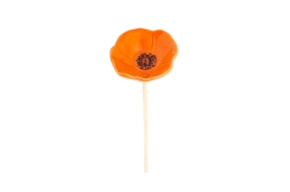 FLOR PAPOILA D.7.5 X 24CM LARANJA
