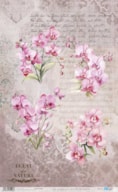 PAPEL ARROZ 54X33CM LA VIE EN FLEURS PINK ORCHID PFY-15096