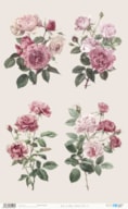 RICE PAPER 54X33CM VINTAGE ROSES III  PFY-15146