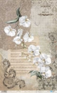 PAPEL ARROZ 54X33CM LA VIE EN FLEURS WHITE ORCHID PFY-15086