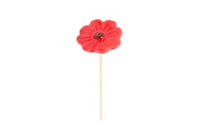 FLOR MALMEQUER D.8 X 24CM VERMELHO