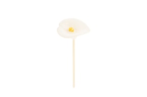 FLOR JARRO D.7.5 X 24CM BRANCO