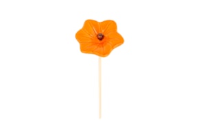 FLOR ESTRELA D.8.5 X 24CM LARANJA
