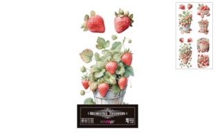 DECOR TRANSFERS 15X30CM MORANGOS PFY-15715