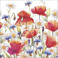 EMB. 20 GUARDANAPOS 33X33CM POPPIES AND CORNFLOWERS