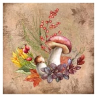 EMB. 20 GUARDANAPOS 33x33CM OUTONO 342117