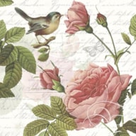 EMB. 20 GUARDANAPOS 33X33CM SOPHIE