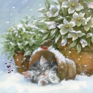 EMB. 20 GUARDANAPOS 33X33CM KITTEN SLEEPING IN PLANT POT