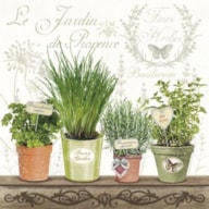 EMB. 20 GUARDANAPOS 33X33CM JARDIN DE PROVENCE