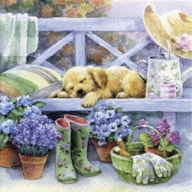 EMB. 20 GUARDANAPOS 33X33CM GARDENING BREAK