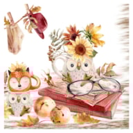 EMB. 20 GUARDANAPOS 33x33CM OWL & FOX