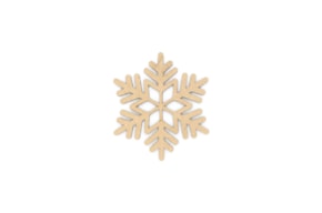 SNOWFLAKE